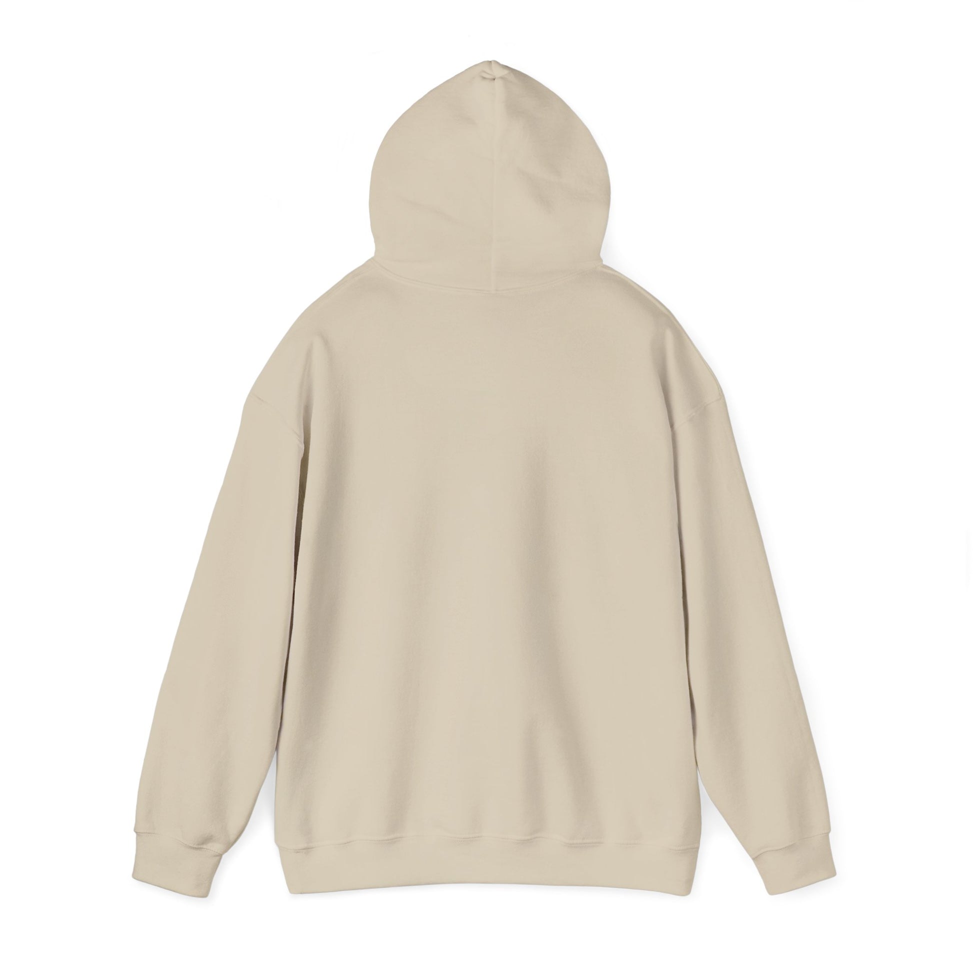 Jordan Shield Unisex Hoodie