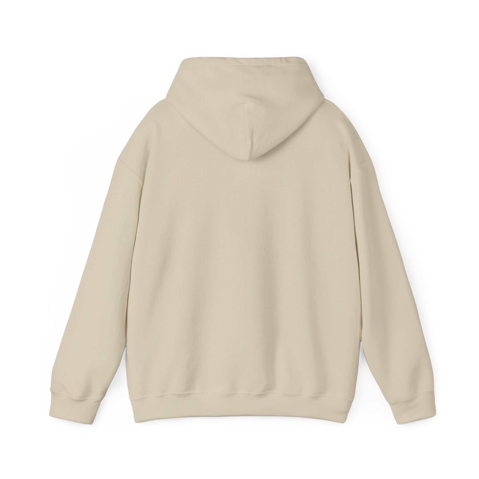 Jordan Shield Unisex Hoodie