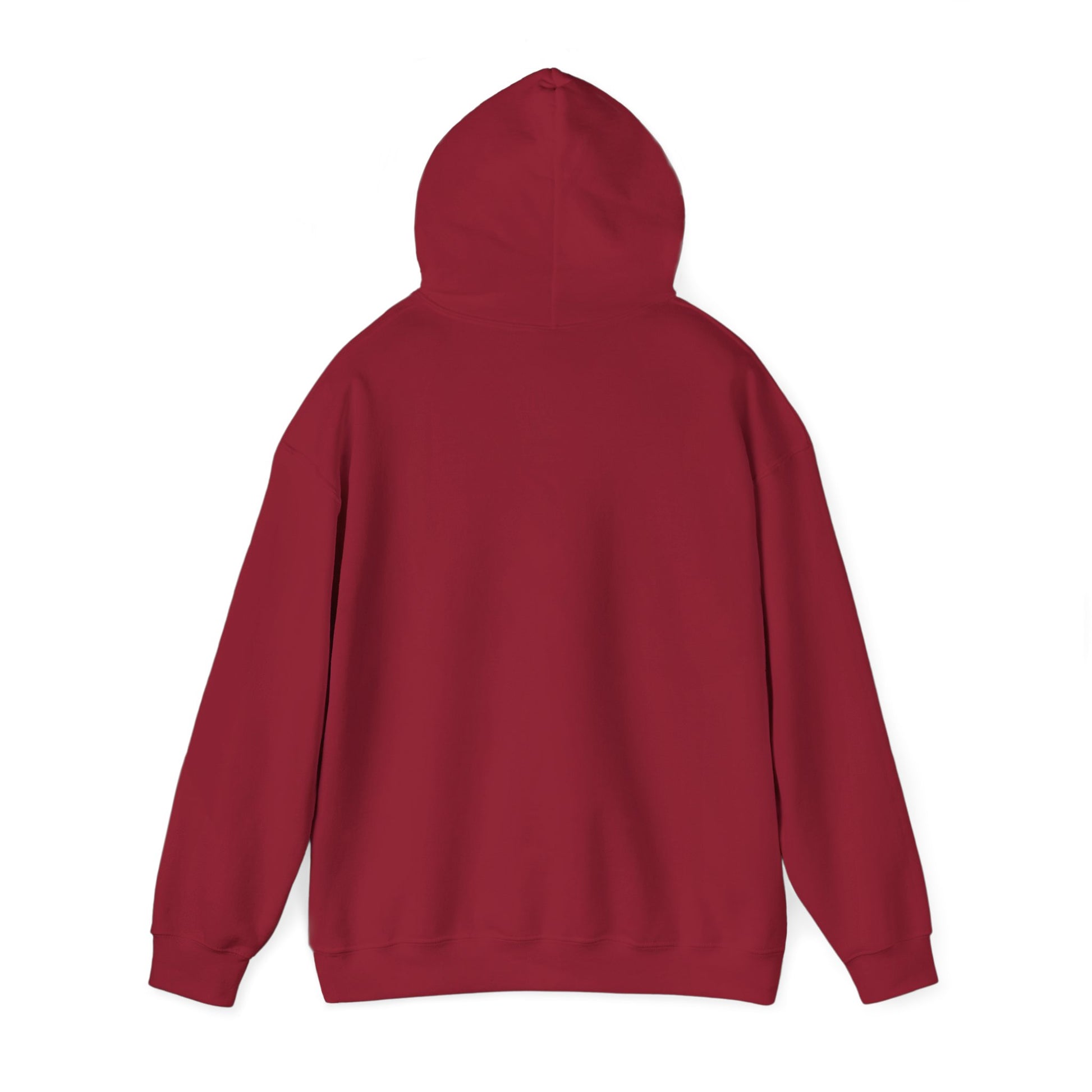 Jordan Shield Unisex Hoodie