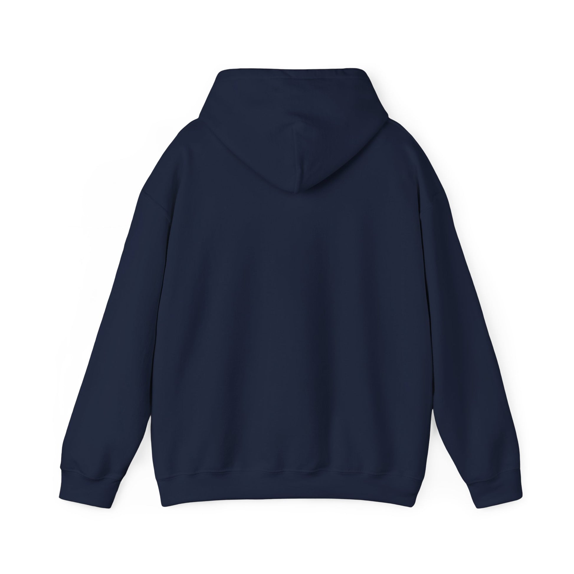 Jordan Shield Unisex Hoodie