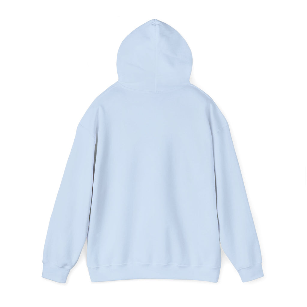 Free Gaza Unisex hoodie