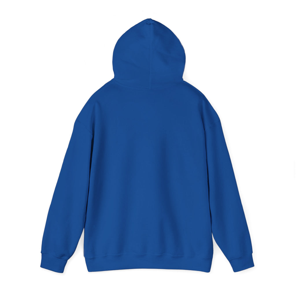 Algerian Flag Unisex Hoodie