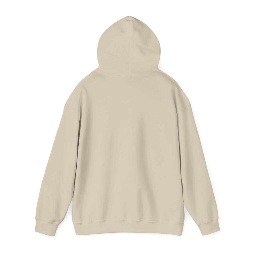 Jordan Shield Unisex Hoodie