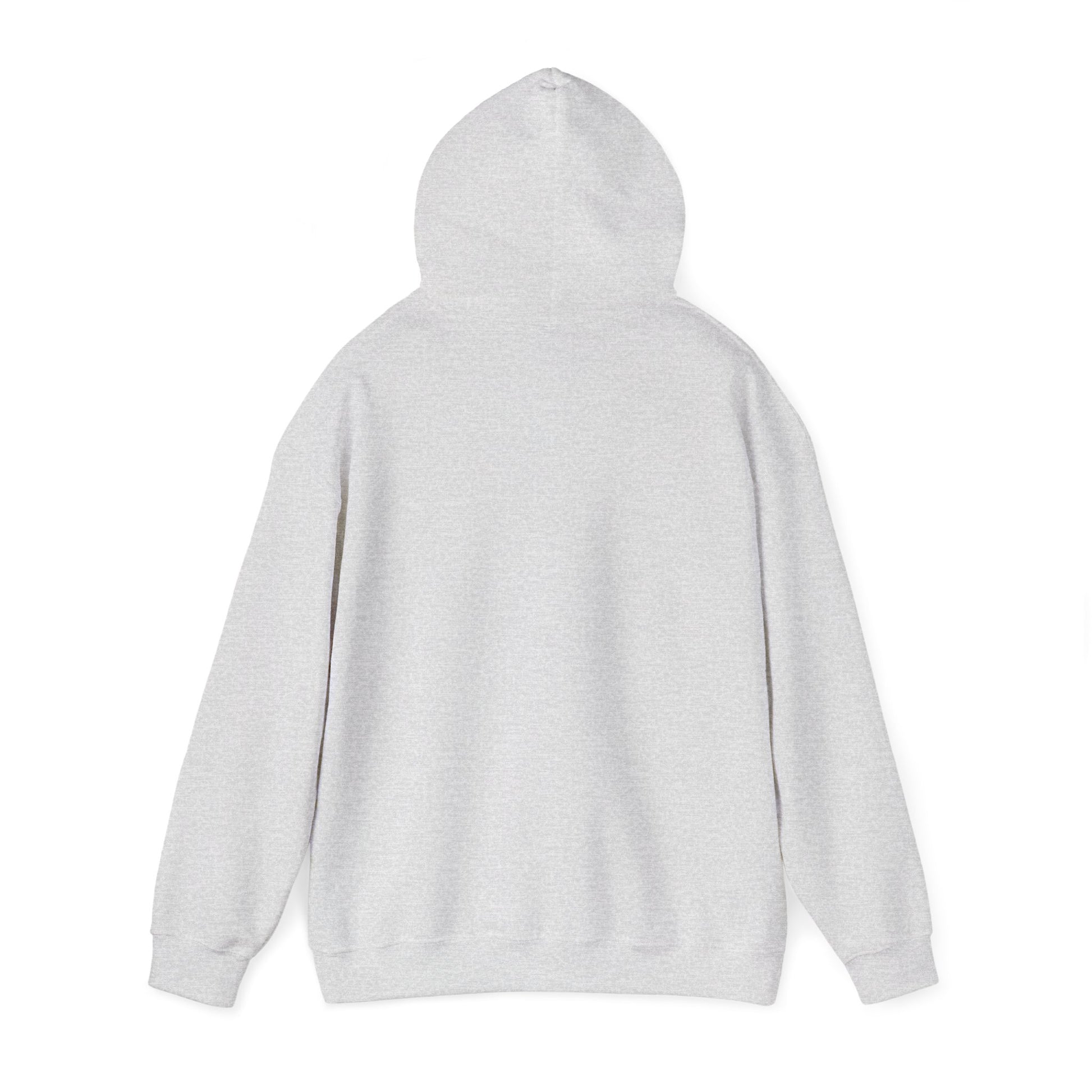 Free Gaza Unisex hoodie