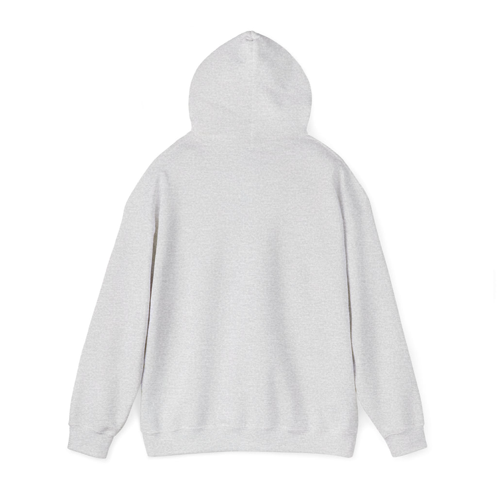 Free Gaza Unisex hoodie